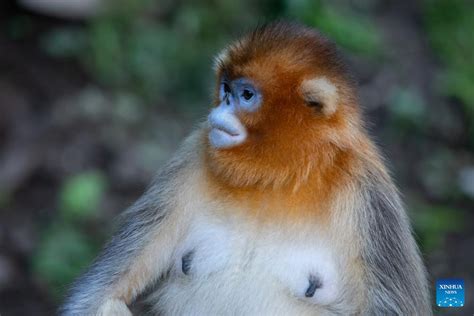 玉合公園怎麼樣 有沒有機會去感受一下那裡的寧靜與美好